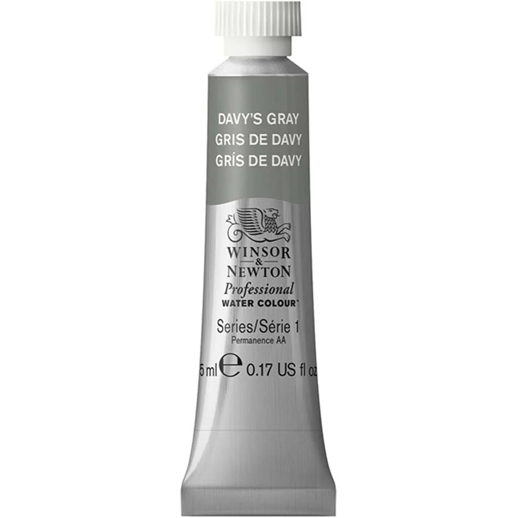 Winsor & Newton Professional Watercolour 5ml DavyS Gray S1