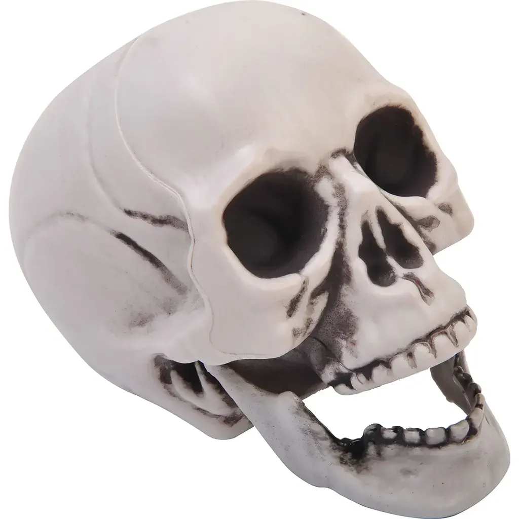 Skull, 4in