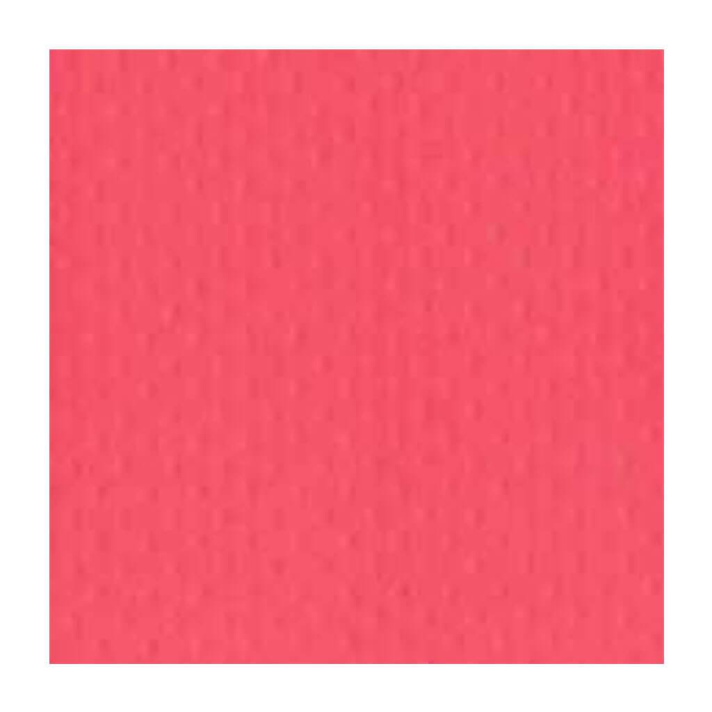 Dotted Swiss Cardstock 12in x 12in