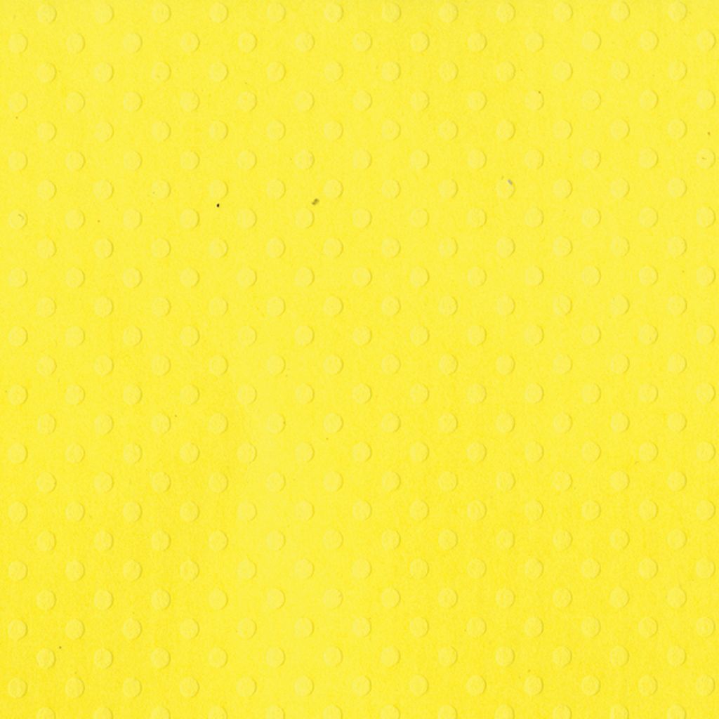Bazzill 12in x 12in Dotted Swiss Cardstock