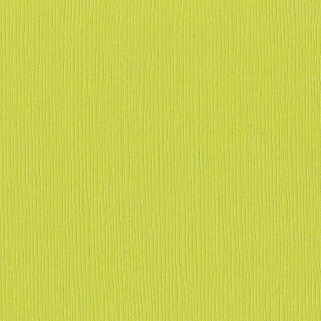 Bazzill Fourz Cardstock Grasscloth Texture- 12in x 12in
