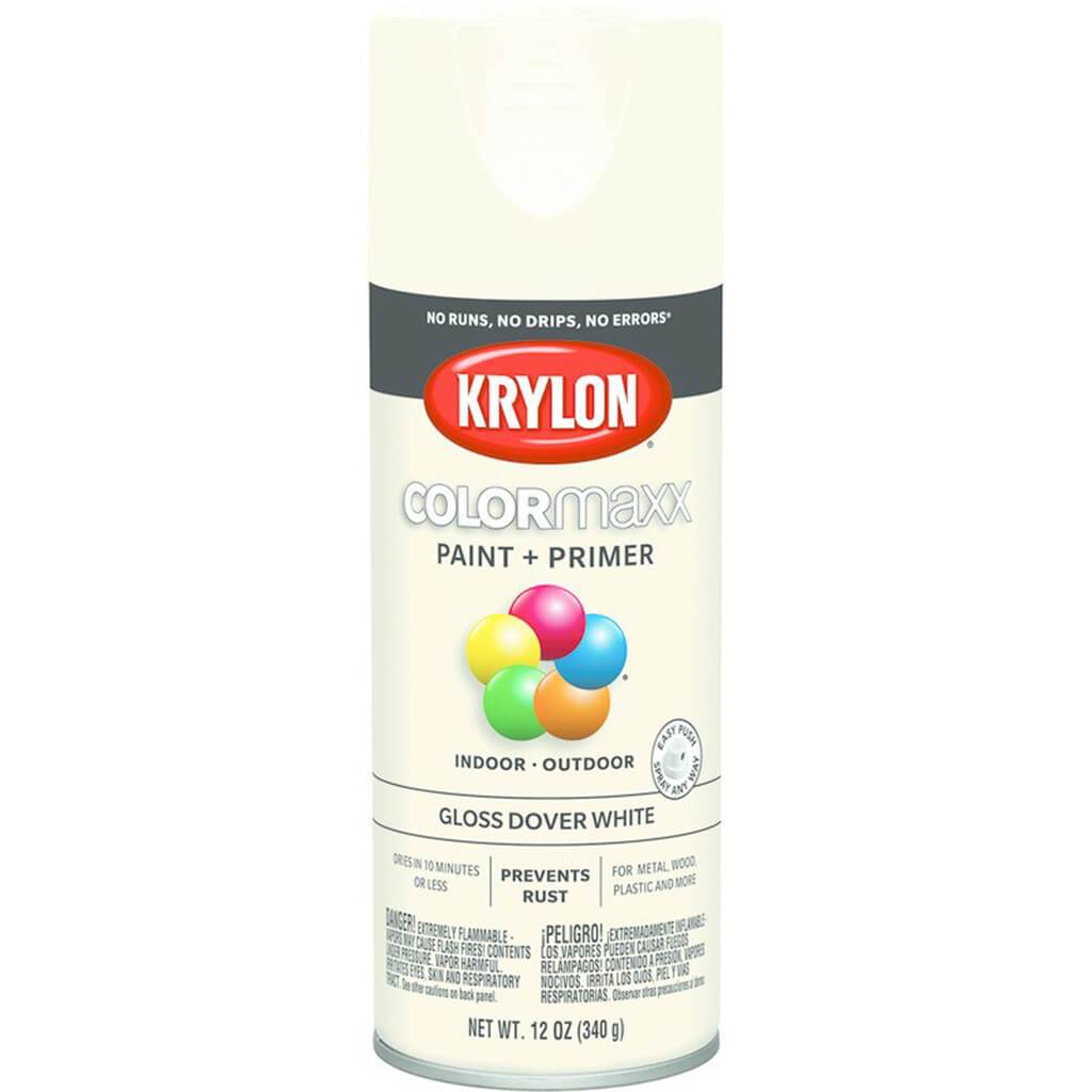 Spray Paint Gloss 12oz