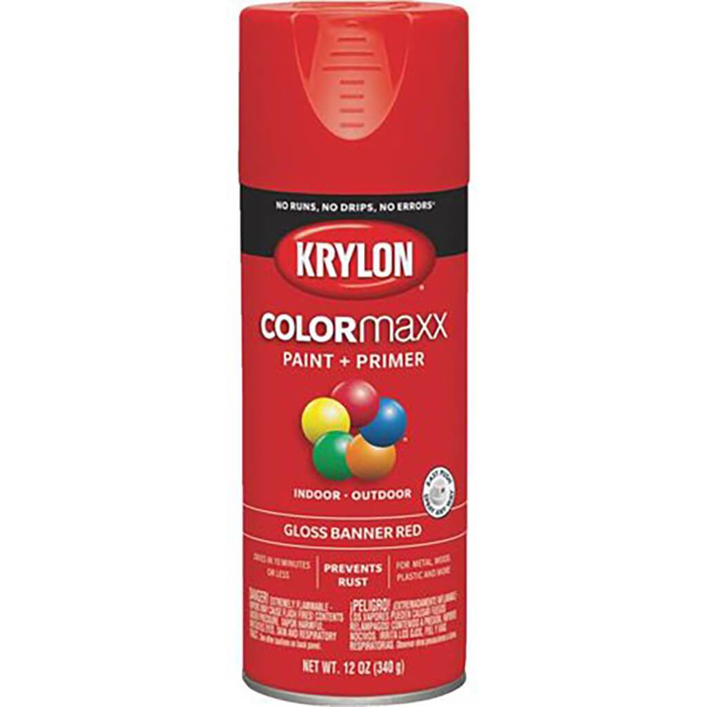 Spray Paint Gloss 12oz