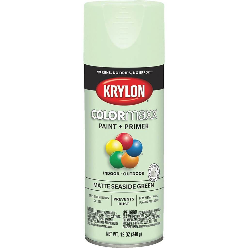 Spray Paint Gloss 12oz