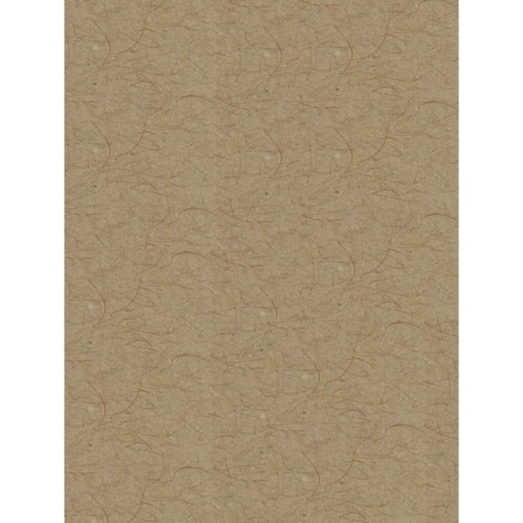 Bazzill Classic Cardstock Kraft Smoothies