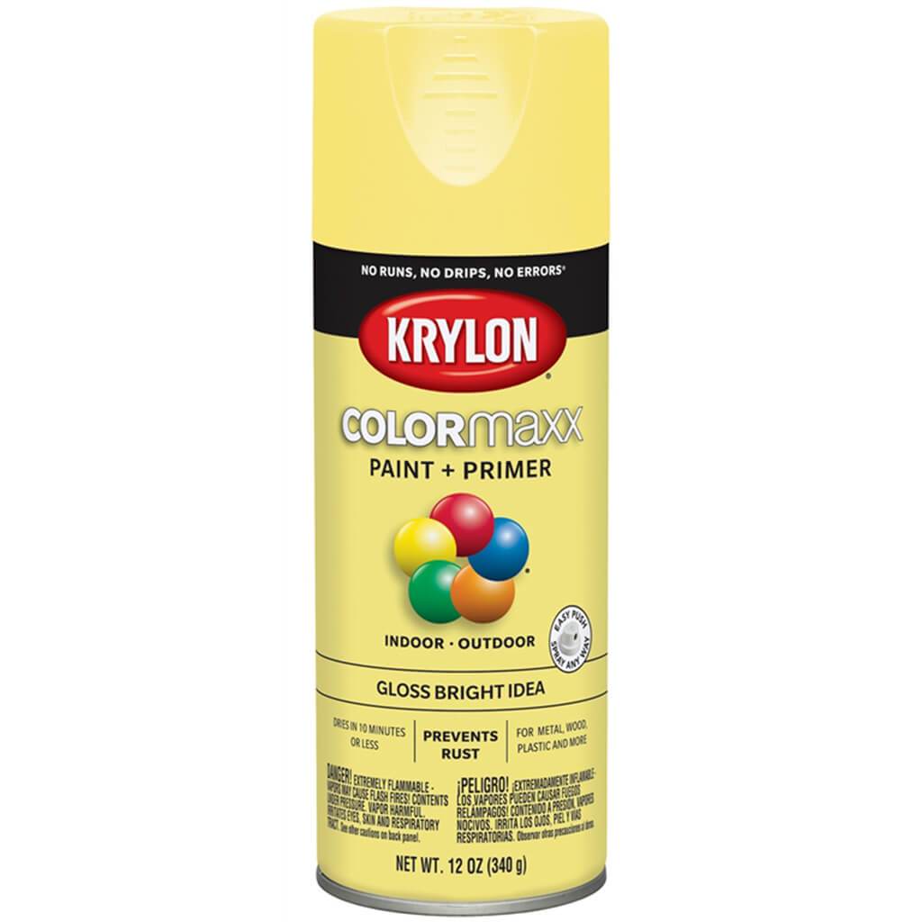 Spray Paint Gloss 12oz