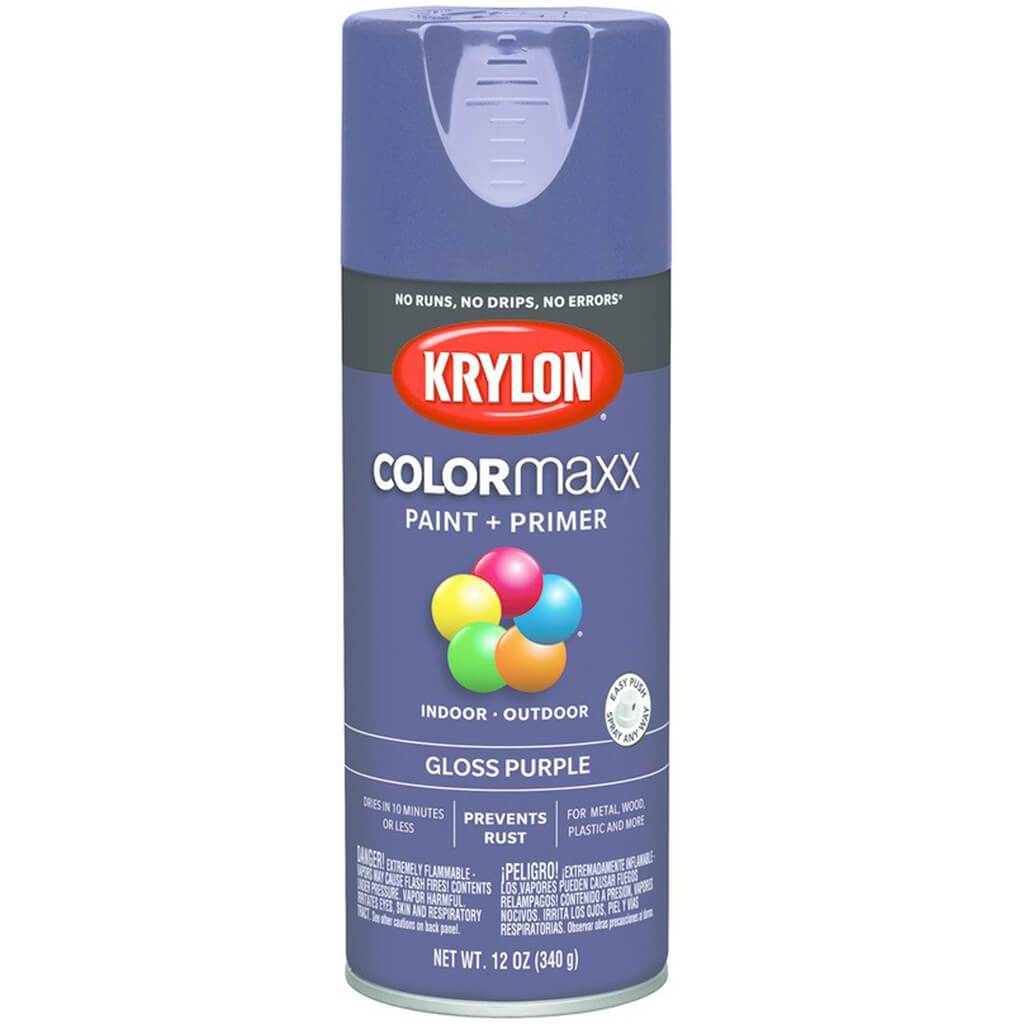 Spray Paint Gloss 12oz