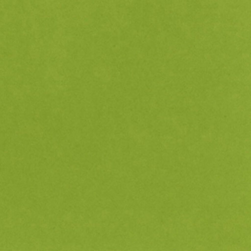 CARDSTOCK HEAVYWEIGHT 12IN X 12IN