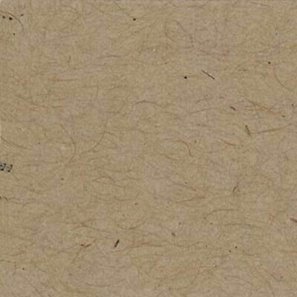 Bazzill Classic Cardstock Kraft Smoothies