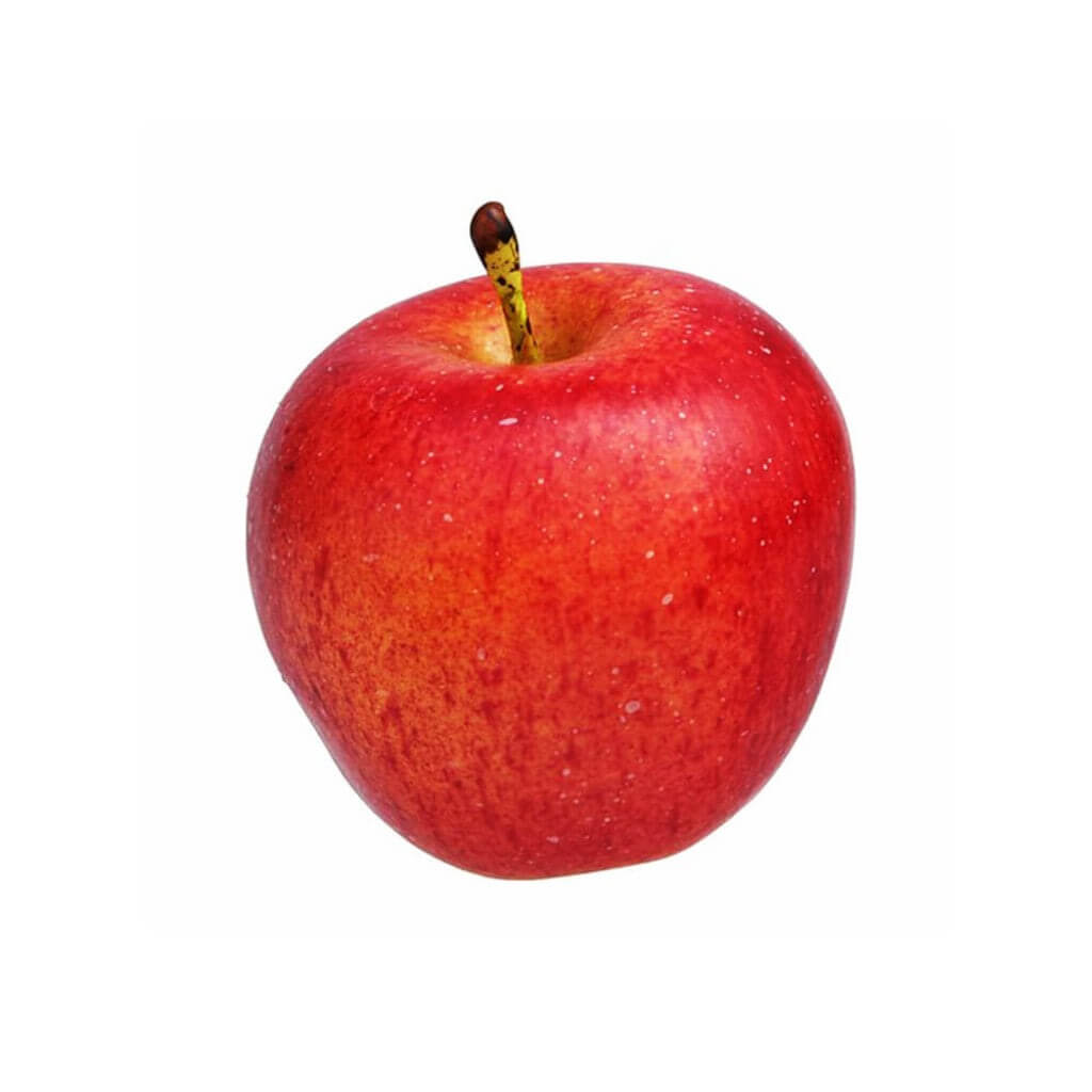 Artificial Apple