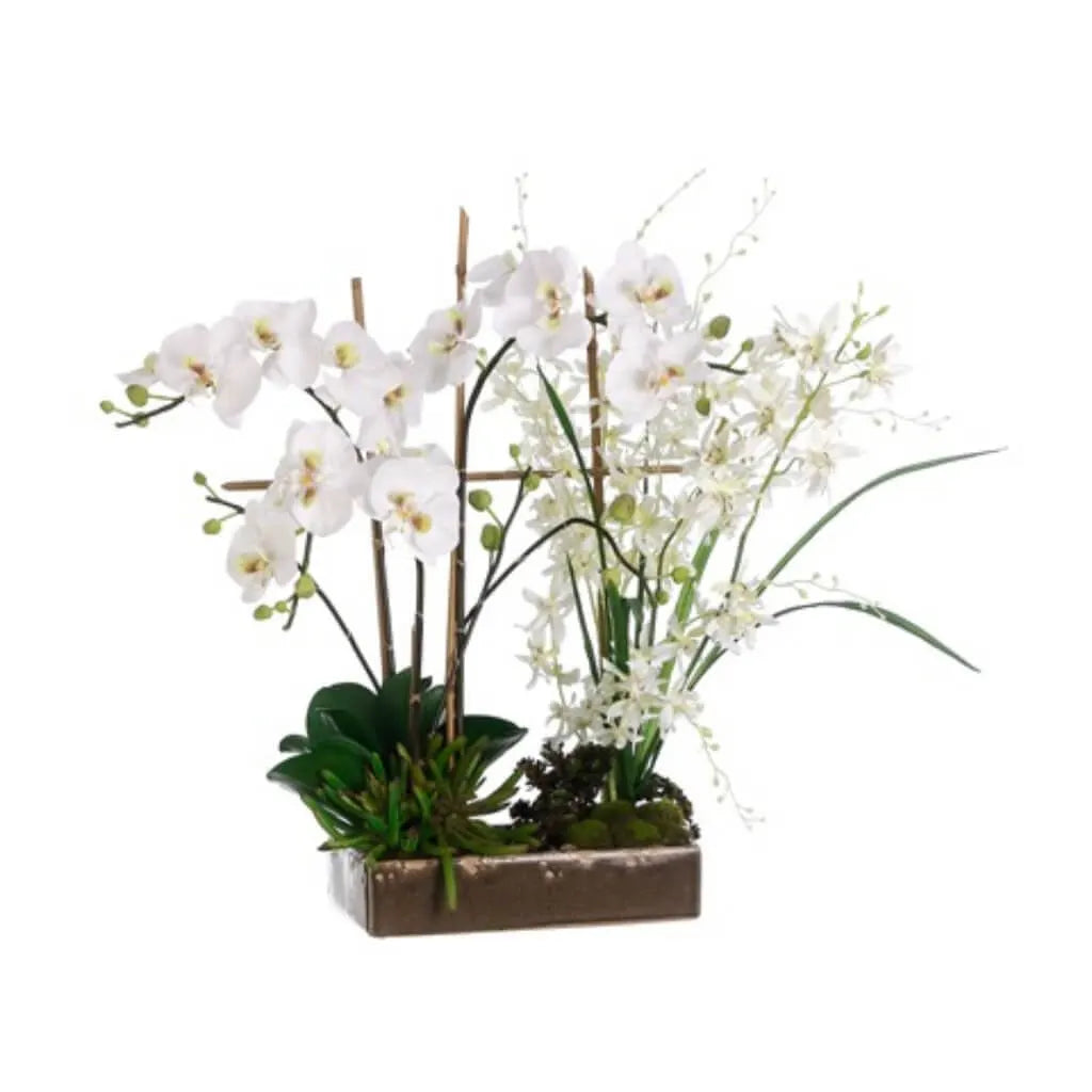 Phalaenopsis / Cymbidium Orchids 26in H x 19in W x 28in L, White