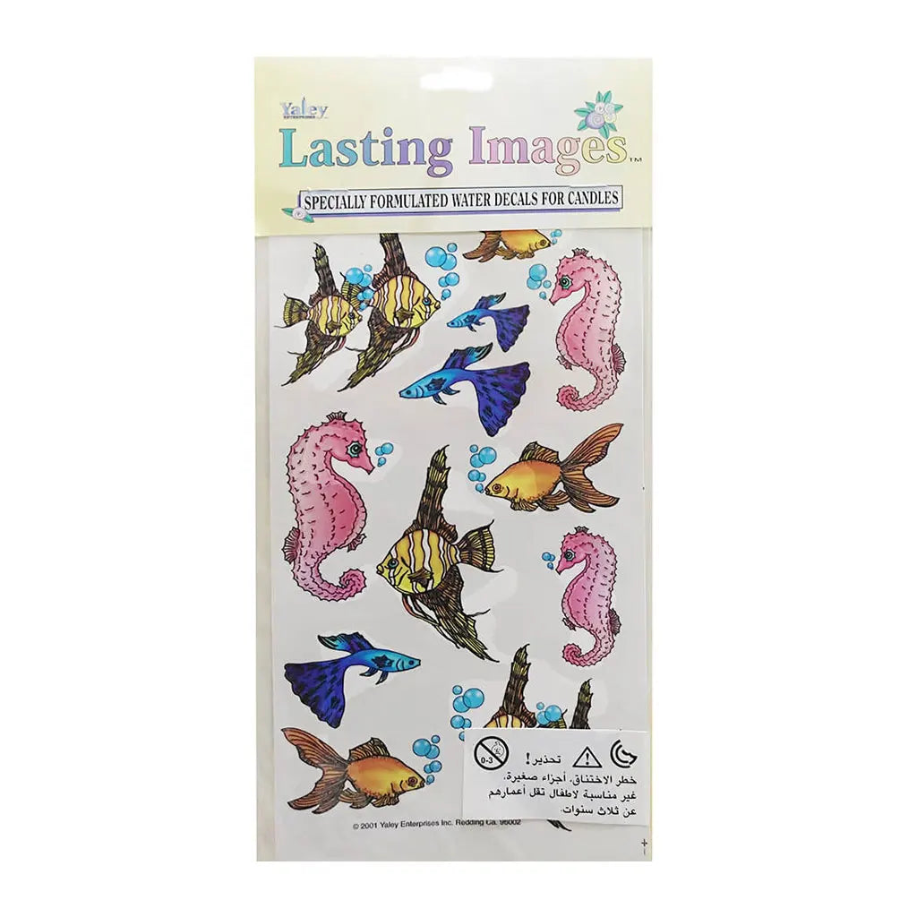 Decal Fish of the Sea 5inx9in