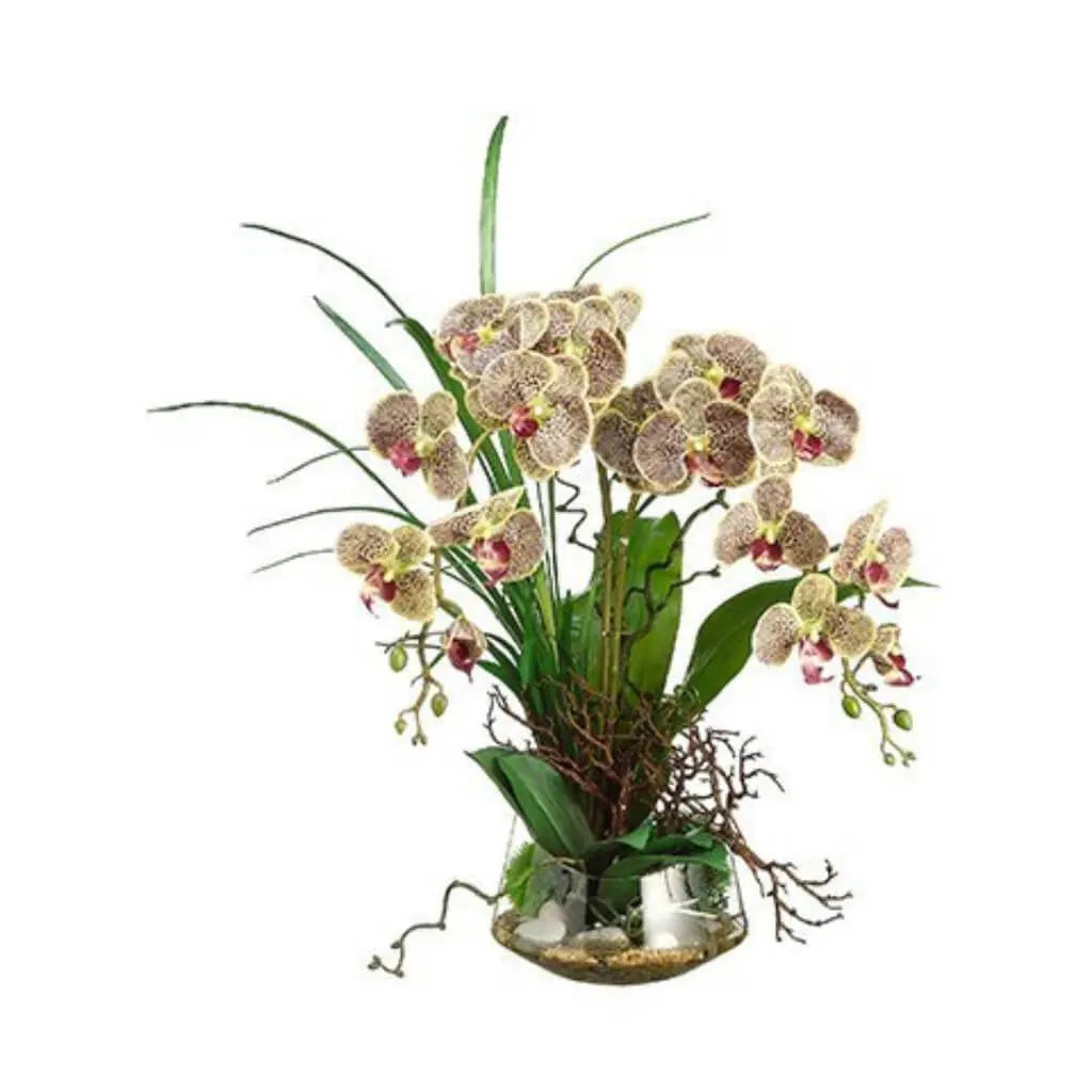 Phalaenopsis Orchid / Twig in Glass Vase 28in H x 20in W x 19in L, Burgendy, Green