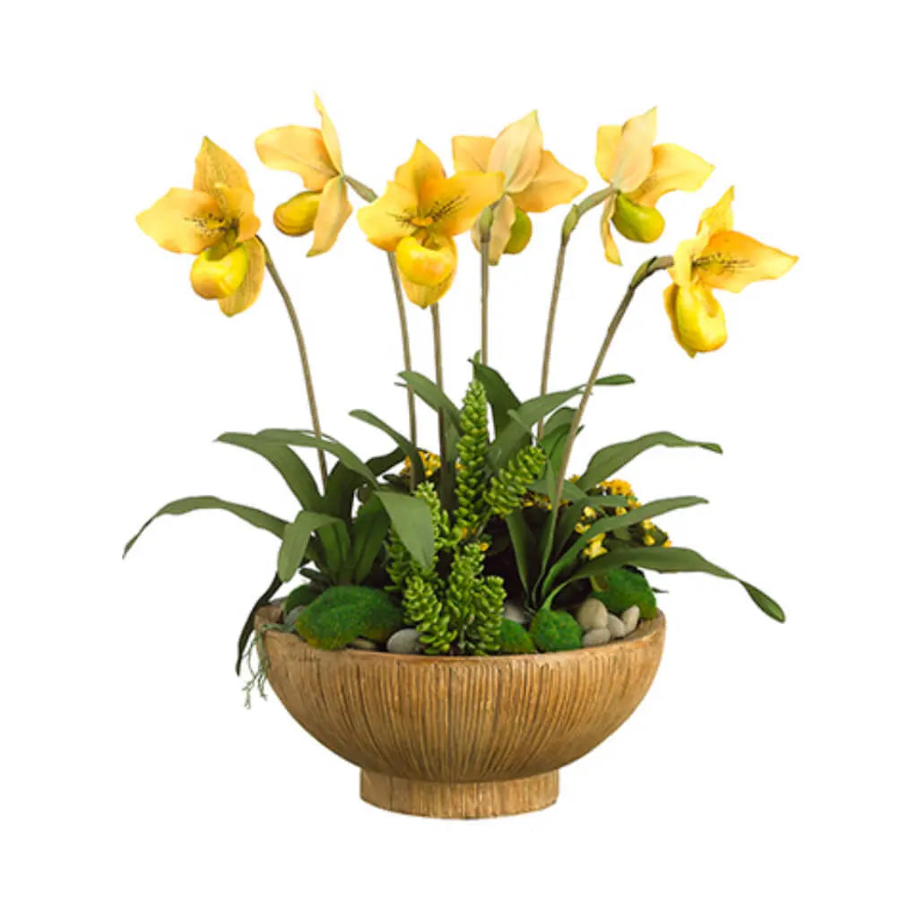 Orchid / Kalanchoe 24in H x 17in W x 18in L, Yellow