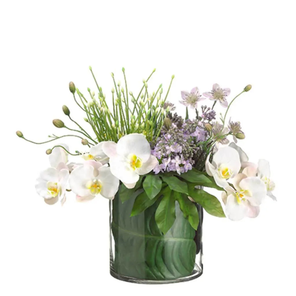 Phalaenopsis Orchid / Allium in Glass Vase 18in H x 14in W x 18in L