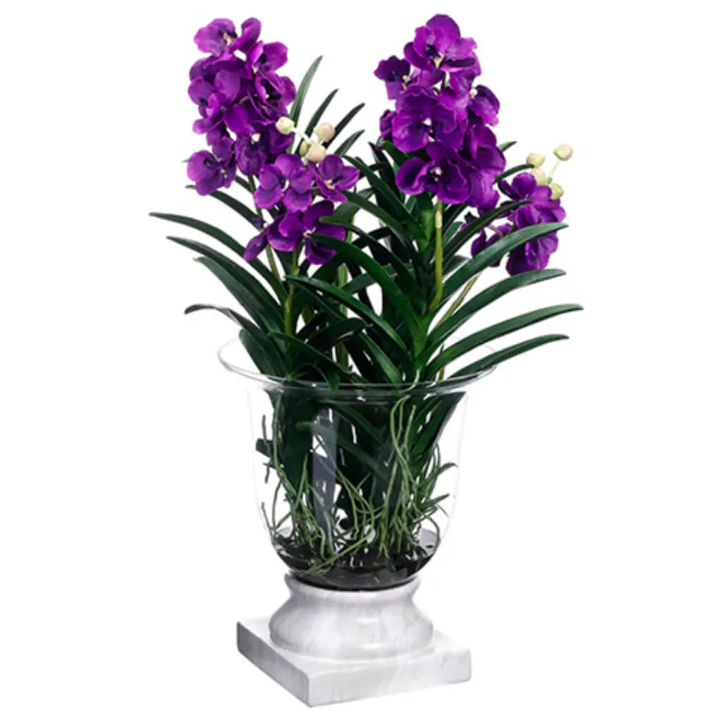 Vanda / Finger Succulent in Glass Vase 33in H x 23in W x 25in L, Purple