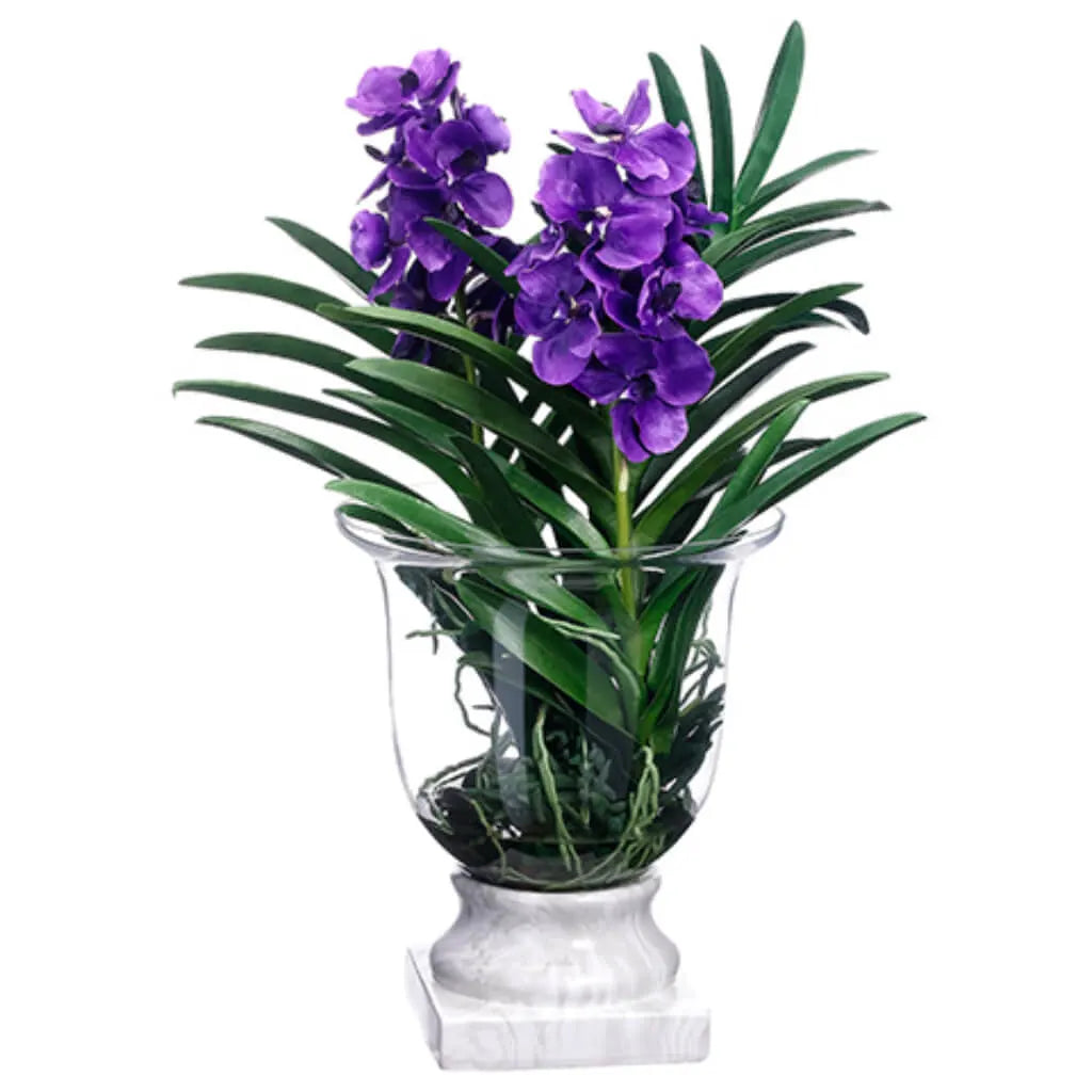 Vanda / Finger Succulent in Glass Vase 29in H x 18in W x 22in L, Purple
