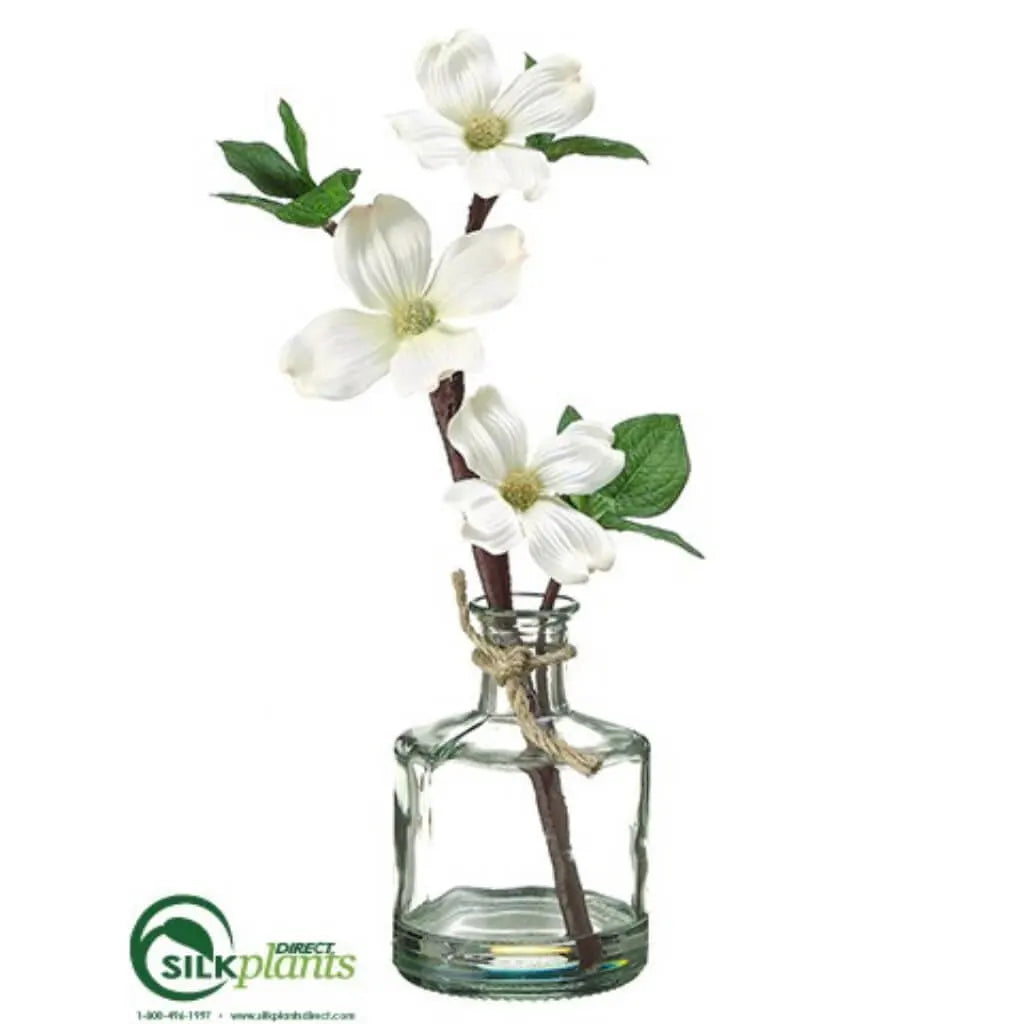 Dogwood in a Glass Vase, 10.5in, White