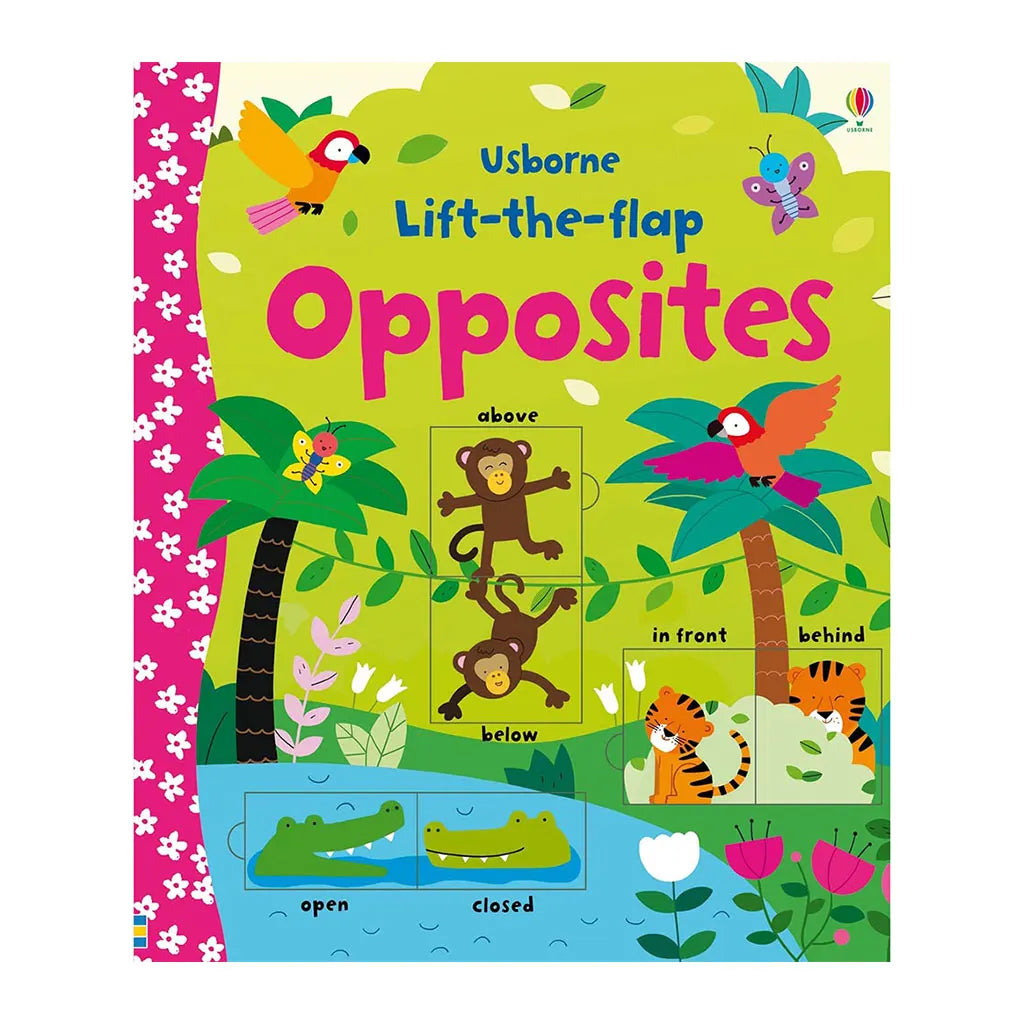 Usborne Lift The Flap Opposites