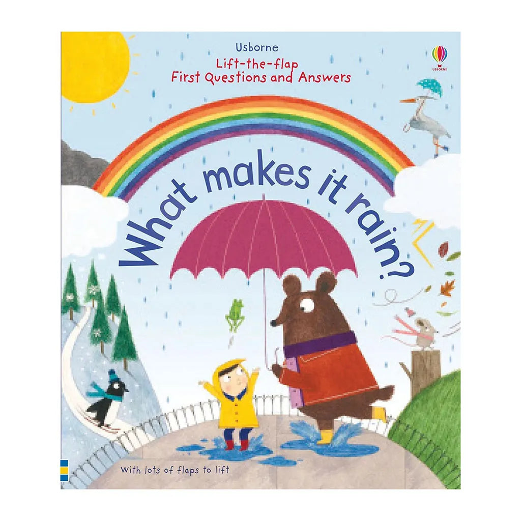 Usborne What Makes it Rain?