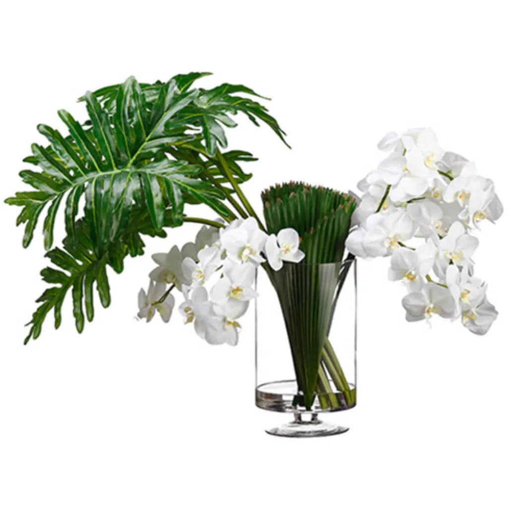 Phalaenopsis Orchid / Selloum Leaf / Palm in Glass Vase 30in H x 29in W x 40in L