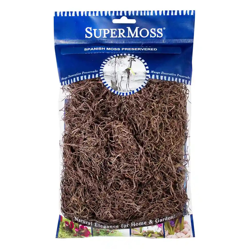 Spanish Moss Preserved Coffee