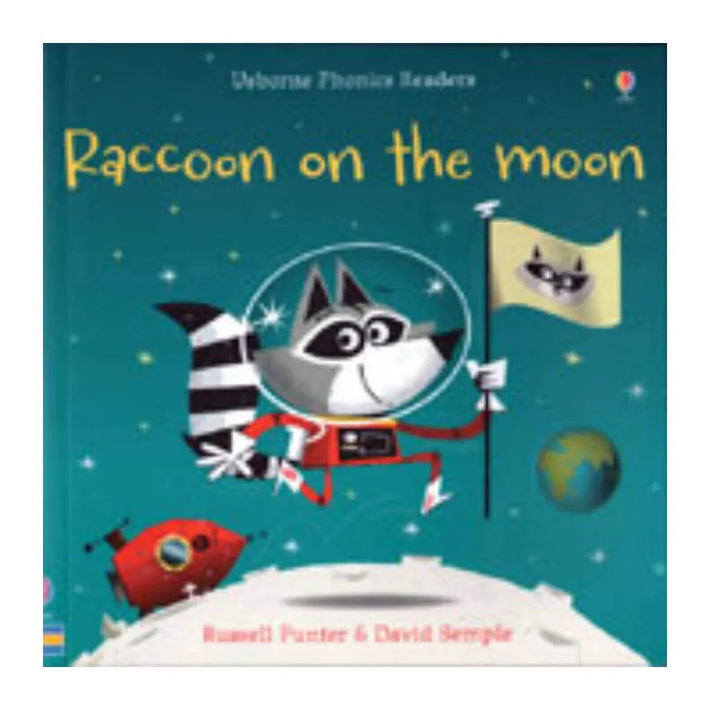 Raccoon On The Moon