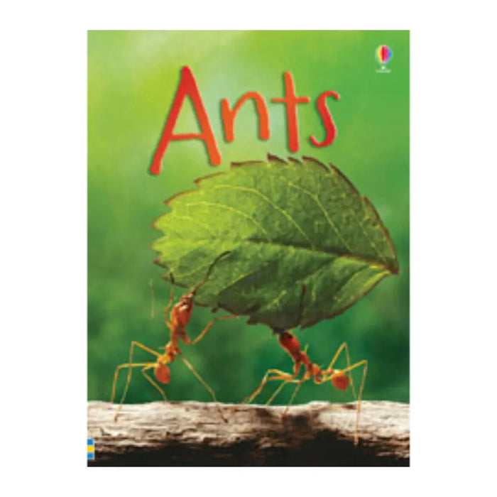Ants IR