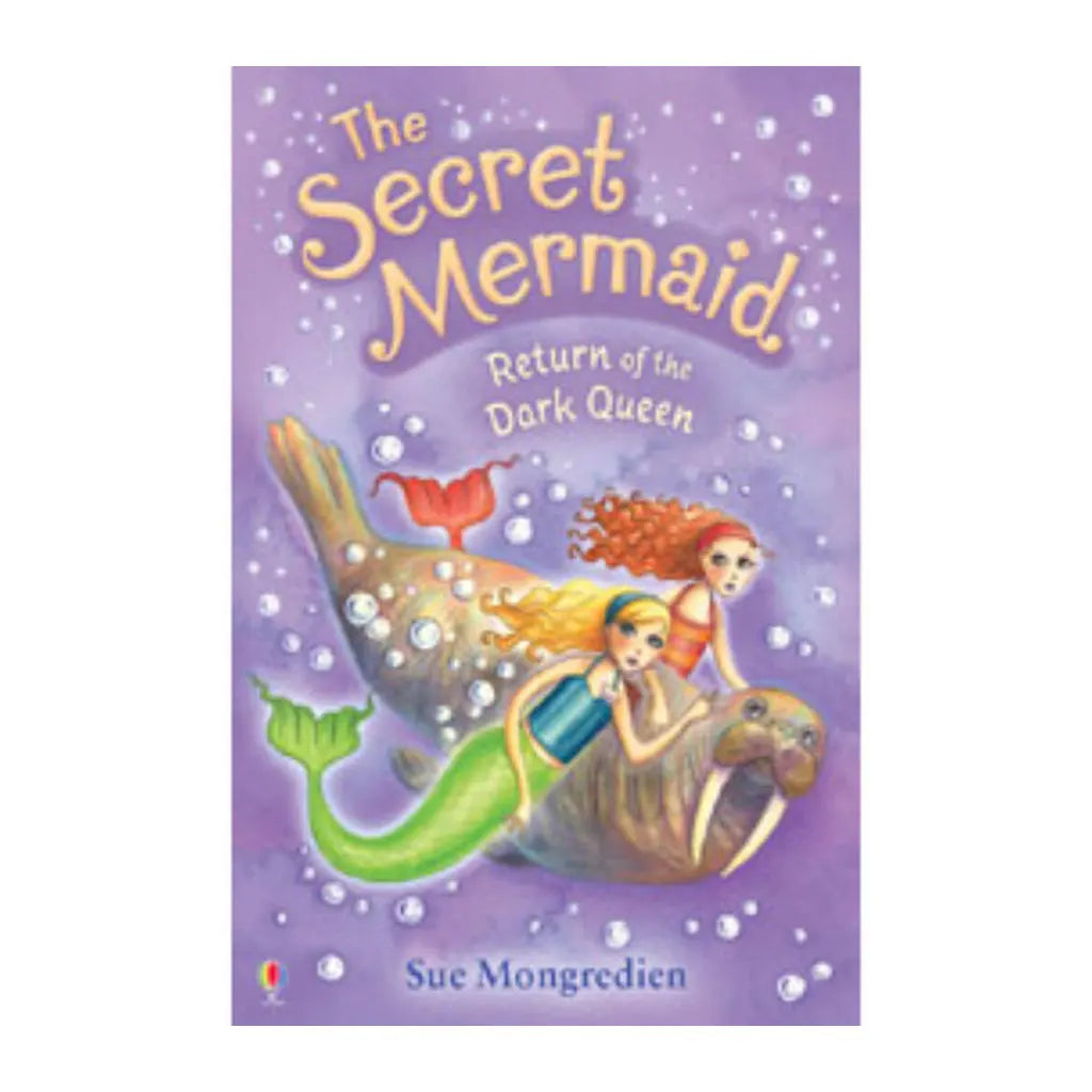 Usborne Return Of The Dark Queen