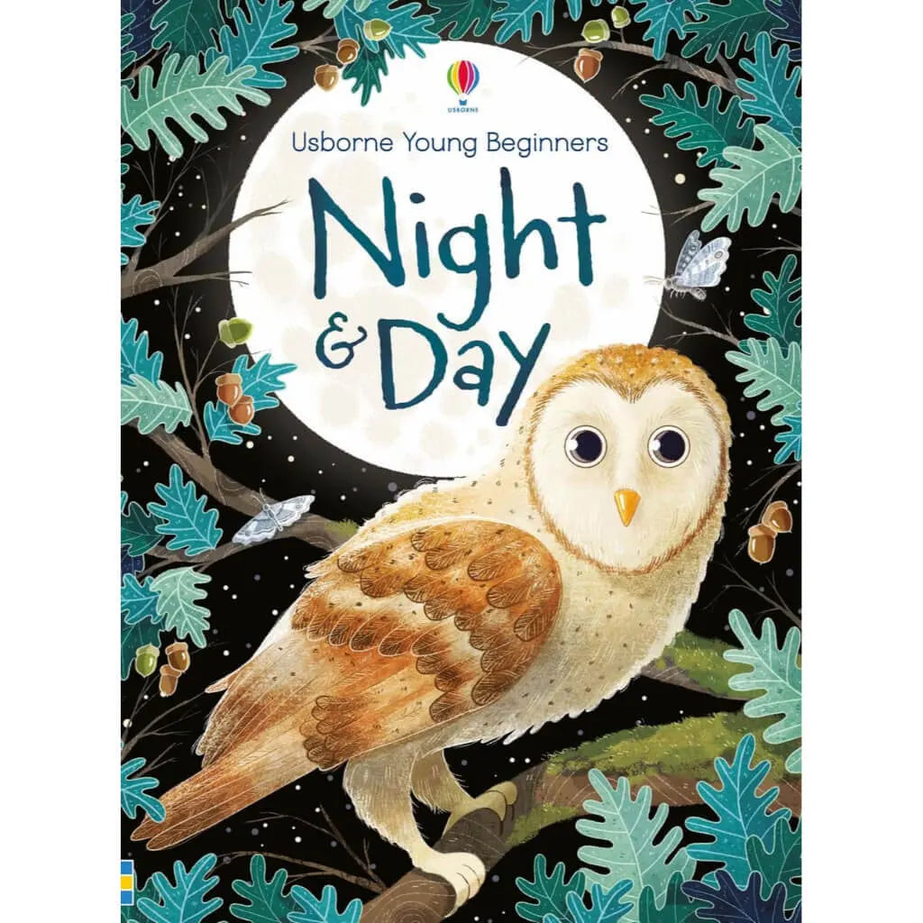 Usborne Night &amp; Day Animals Book