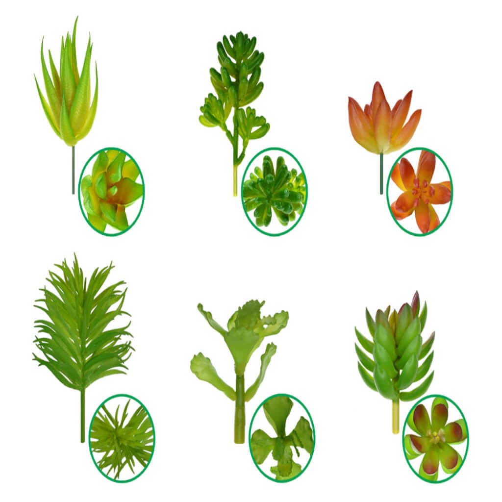 Succulents: Medium Series PDQ Asst 10 each x 6 styles