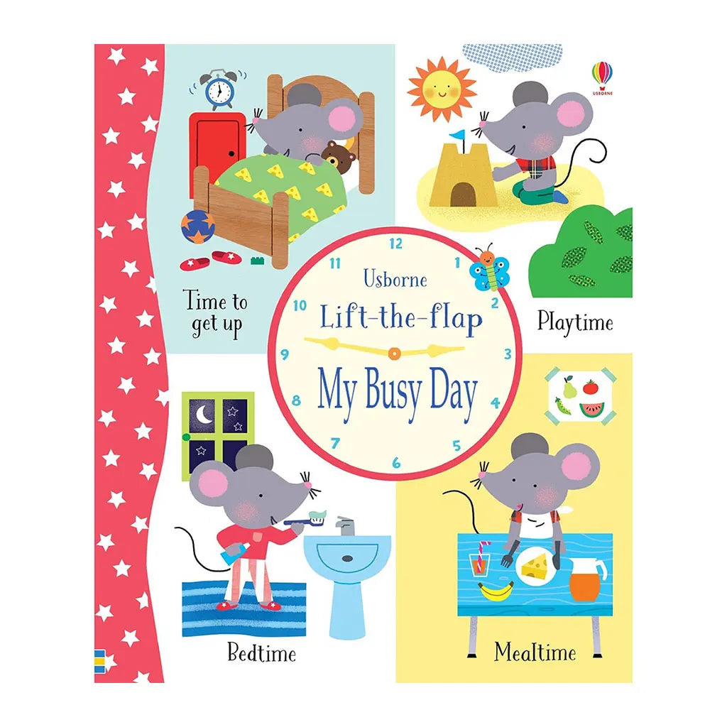 Usborne Lift the Flap My Busy Day