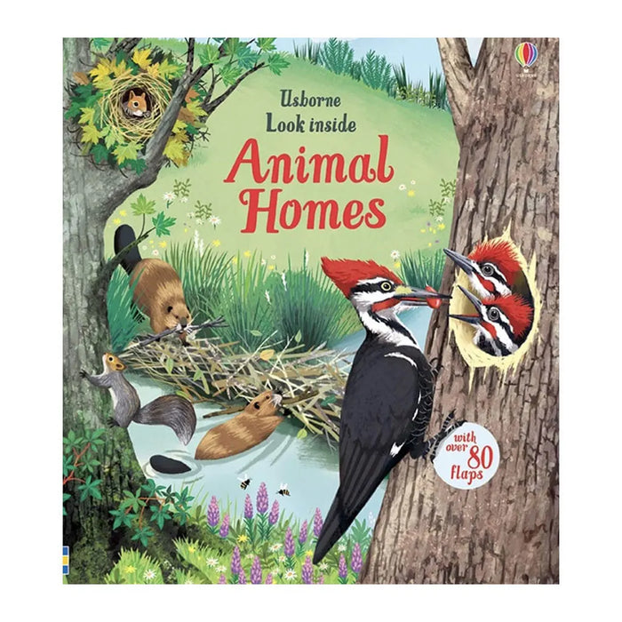 Look Inside Animal Homes
