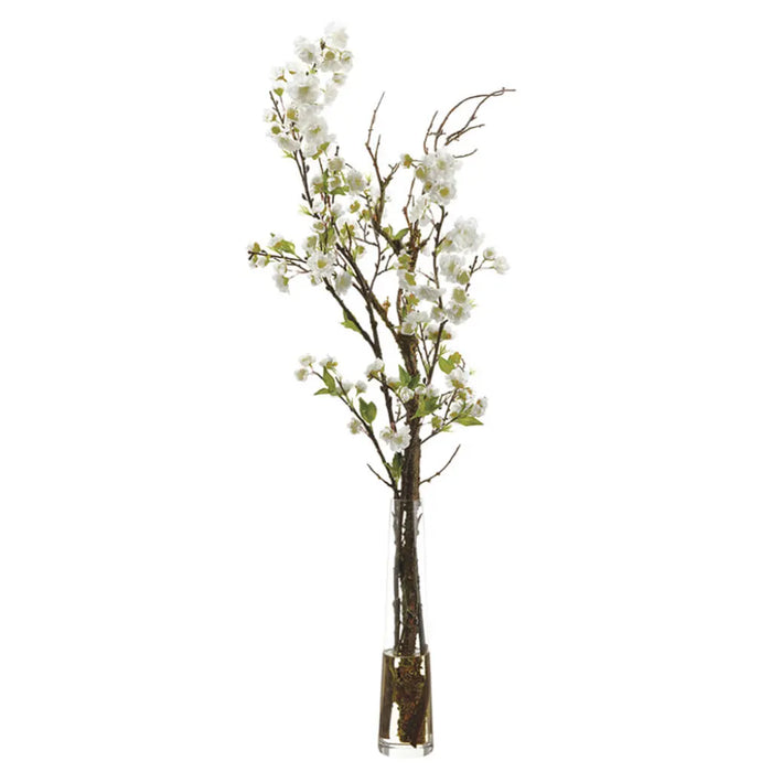 Cherry Blossoms in Glass Vase 40in H x X15in W x X19in L