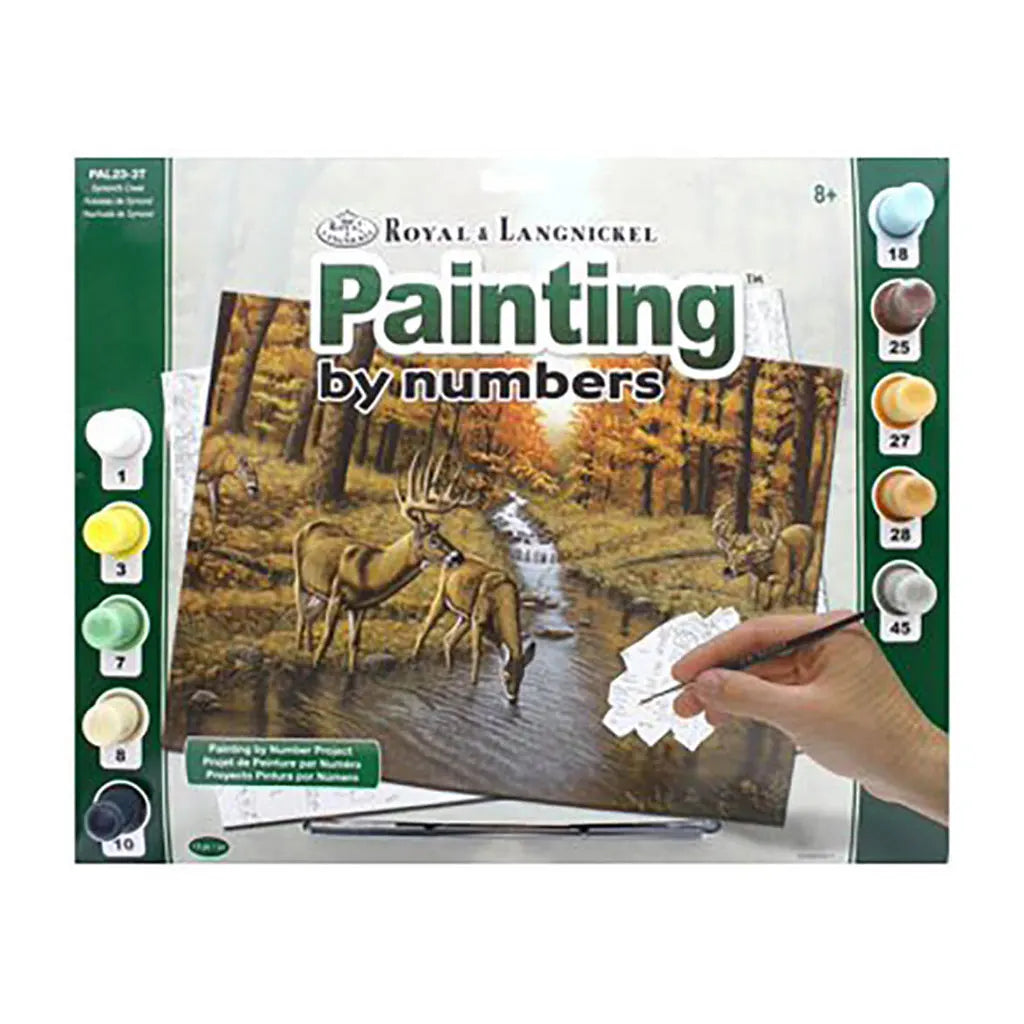 Paint by Number 11.25in x 13.375in, Symond's Creek