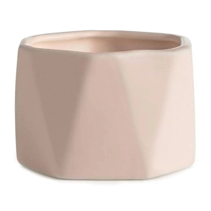 Coconut Milk Mango Dylan Candle