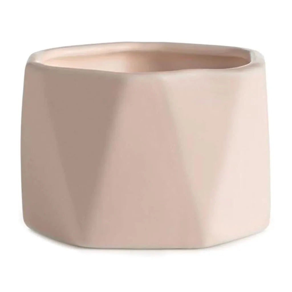 Coconut Milk Mango Dylan Candle