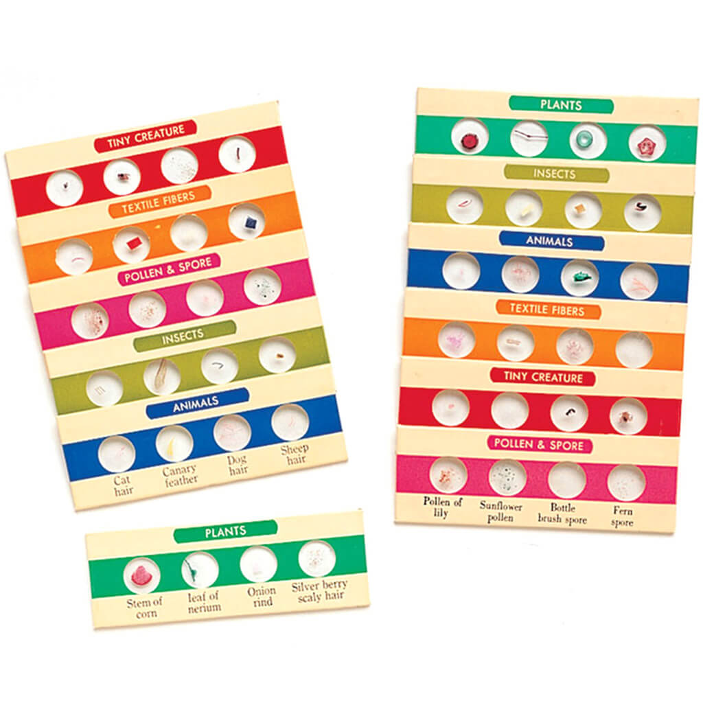 Prepared Slides Combo Set (48 Specimens)