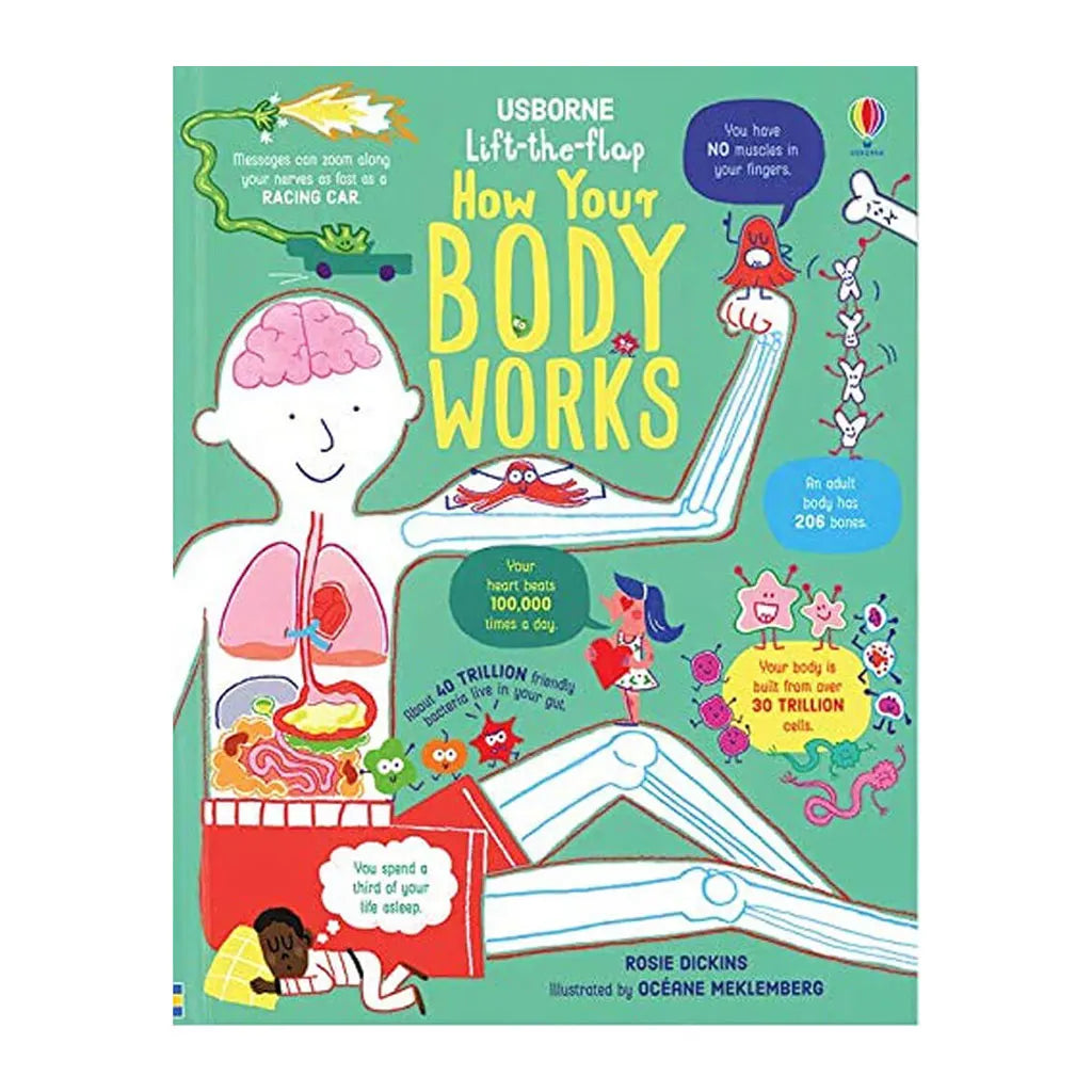 Lift The Flap How Your Body Works