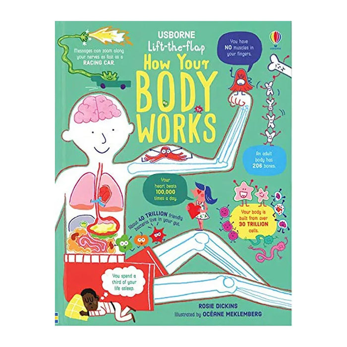 Lift The Flap How Your Body Works