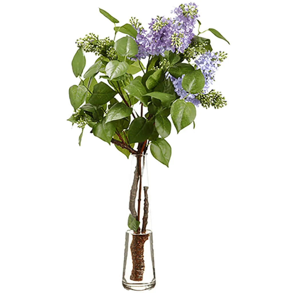 Lilac in Glass Vase 29in H x 18in W x 20in L, Lavender