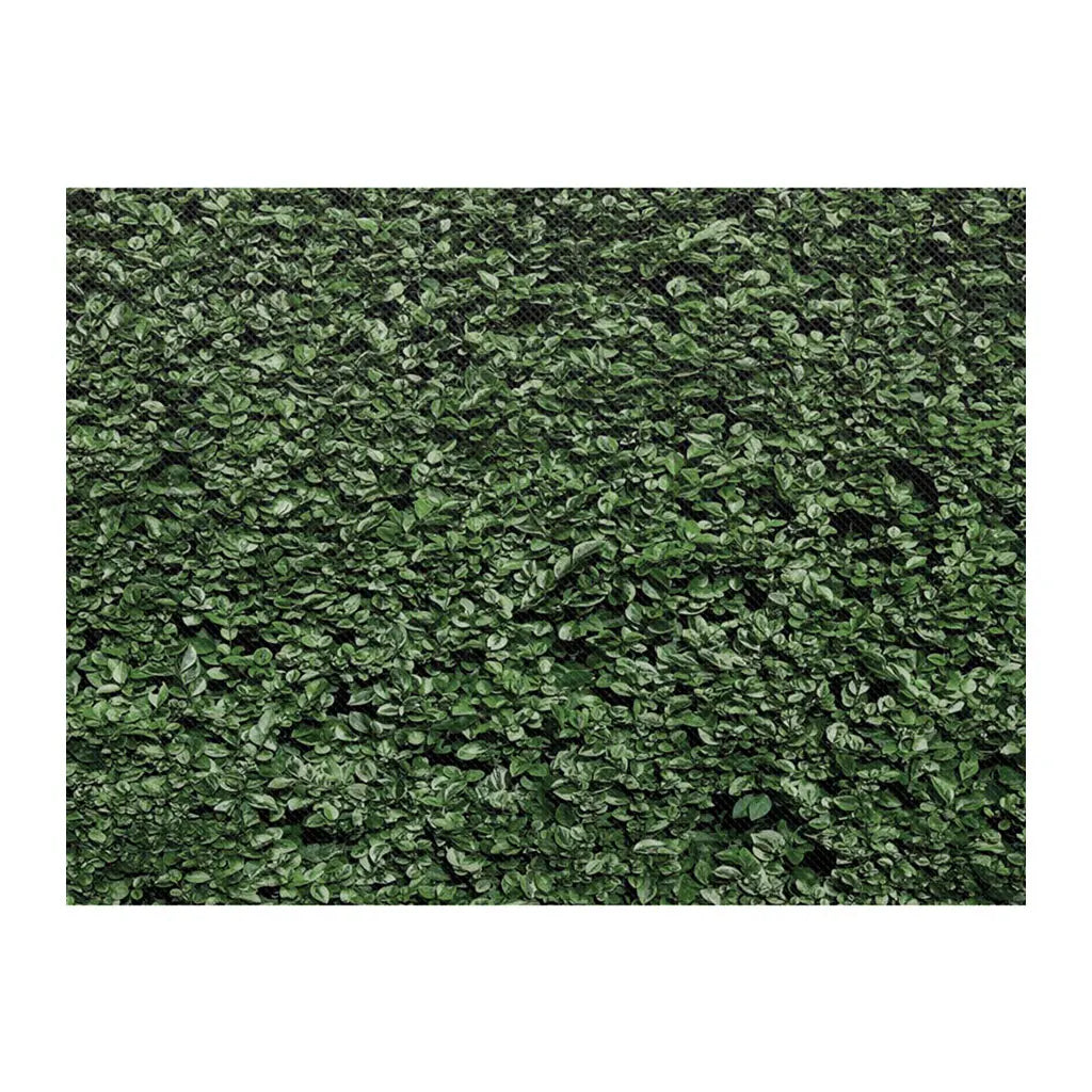 Better Than Paper Bulletin Board Roll 18in x 12ft Fun Size Boxwood