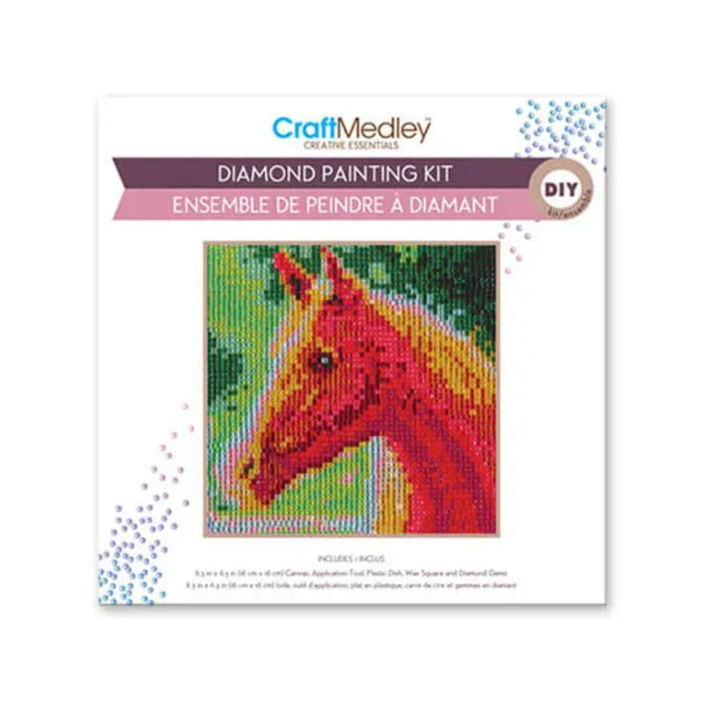 Diamond painting kit with a horse design on a white background