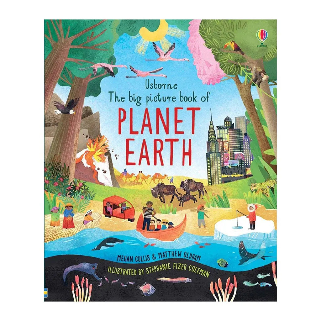 Usborne The Big Picture Book of Planet Earth
