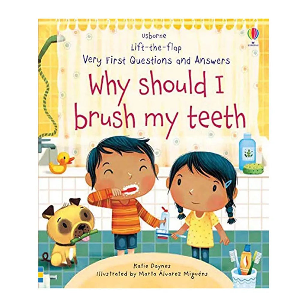 Usborne Lift The Flap Q&amp;A: Why Should I Brush My Teeth?
