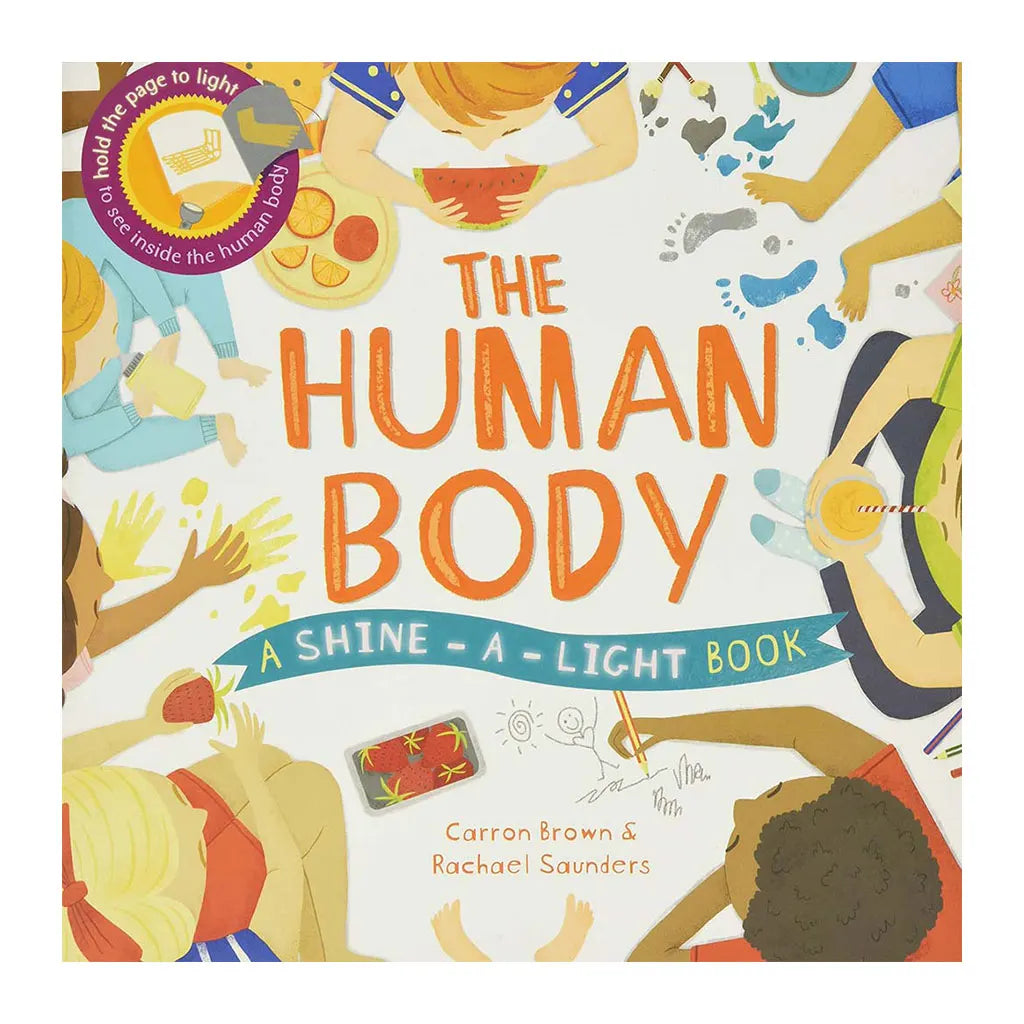 Usborne Shine A Light The Human Body