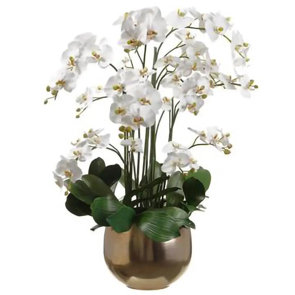 Phalaenopsis Orchids in Planter 39in H x X26in W x X30in L, White