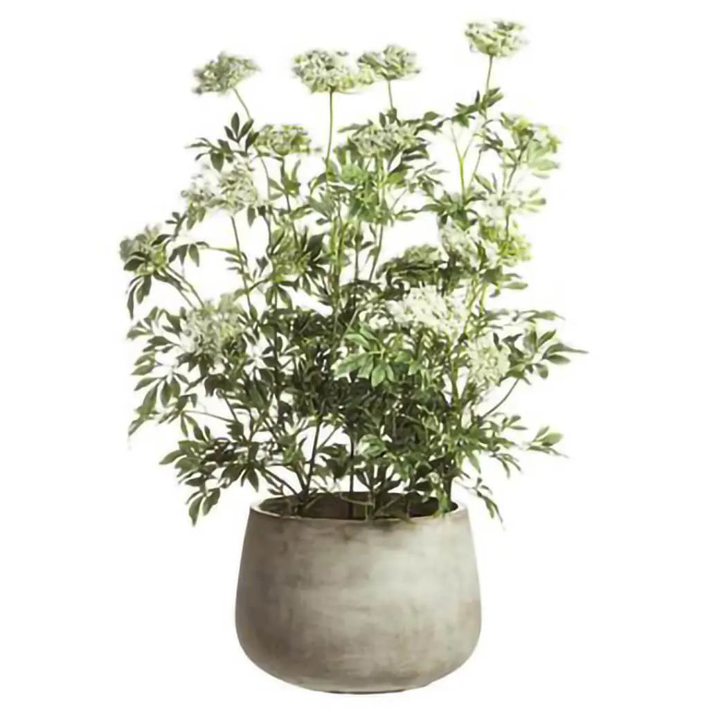 Queen Anne's Lace with Hanging Willow in Cement Pot 46in H x X39in W x X40in L, Green, White