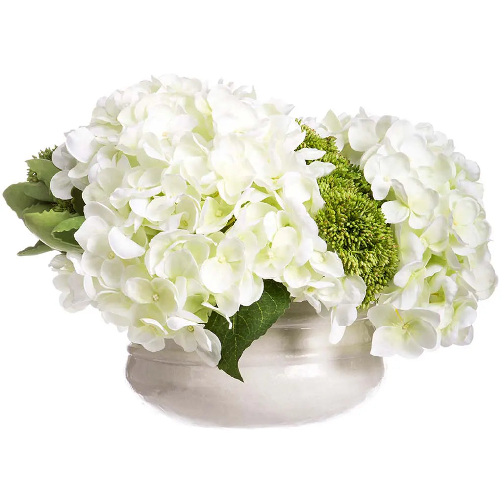 Hydrangea Sedum in Container 10in H x 16in W x 16in L, Cream, Green