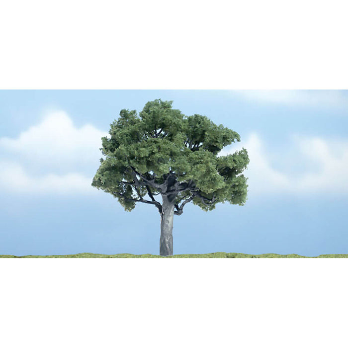 Premium Walnut 3 7/8in,1/Pk